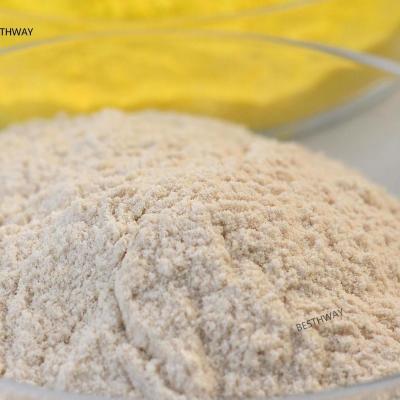 Chine Les enzymes du papier ménager réduisent la consommation d'énergie de la pâte à papier à vendre