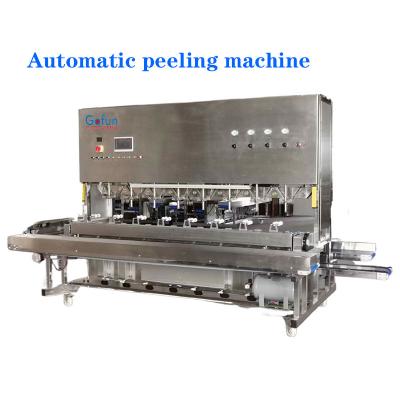 China Industrial mango peeler Fully automatic apple potato carrot peeler for sale