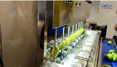 Cina Fornitore di macchine intelligenti per la buccia di mango per la lavorazione della buccia di papaia e della patata in vendita