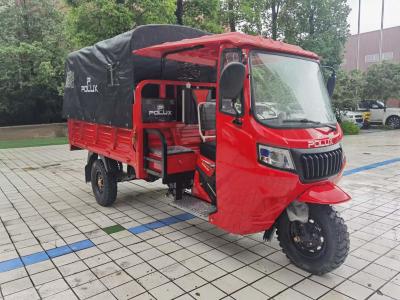 China Water-Cooled Engine Cargo Tricycle Used Farm 3 Wheeler Heavy Duty 300cc for sale