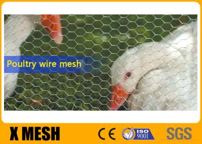China Zure het Kippegaasomheining Poultry Netting van het Weerstands20ga Roestvrije staal Te koop