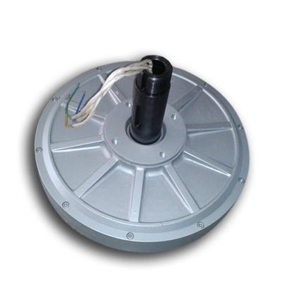 China Disc PMG260 PMG260 Coreless 300W 300RPM Low Speed Wind Generator for sale