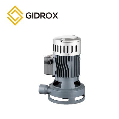 China Clarified Hot Type 0.75kw Stainless Steel Shaft Water Series GVCm550 Gvsm Vertical Centrifugal Pump Russia Type Clarified for sale