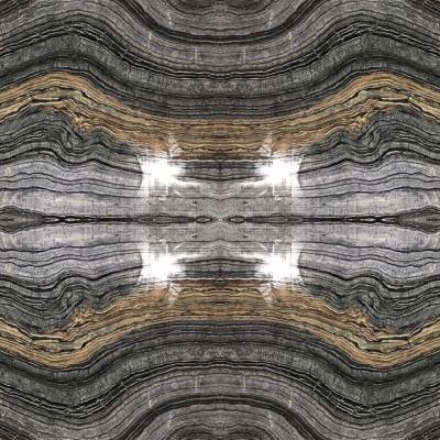 China Modern Silver Wave Marble Arabescato Nero Black Wood Marble Slab Polished Black Forest Marble For Wall Tile for sale