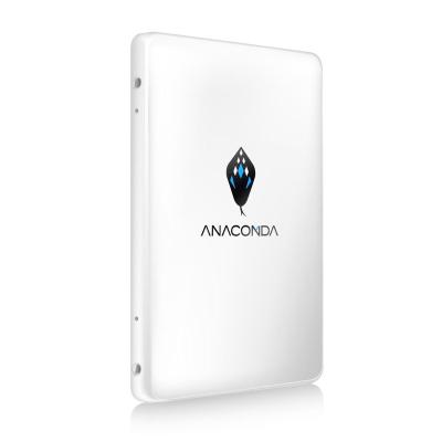 China Large Capacity SSD Fast Speed Slim 2.5