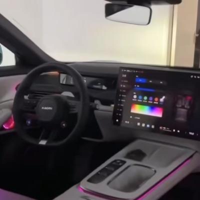 Cina LED 21 luci a colori fantasma per la luce ambientale Mi Su7 in vendita