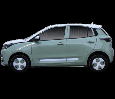 China Leather 2022 New Levdeo Mango Pro High Configuration Car Pure Electric Mini Car 100km/h High Speed Electric Car 34 for sale