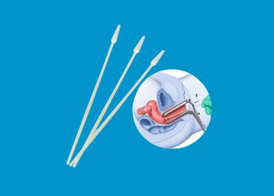 China Cotonete de preparação de amostras descartável reunido cervical da fibra de nylon para o ADN das pilhas à venda