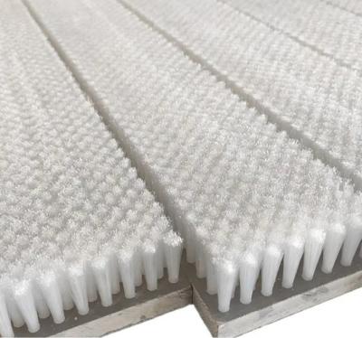 China Industrial Custom Plate Brush Food Grade Nylon Brush Silk For Food Applications for sale