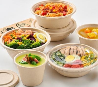 China Bowl Portable Biodegradable Boxes For Food With UV Printing Customizable for sale