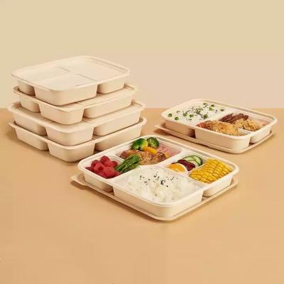 China Salad Bio Degradable Food Packaging With Custom Carton Package Microwavable for sale