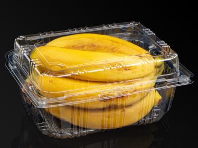 China Contenedores de PET transparentes para armazenamento de fruta e salada de bolo à venda