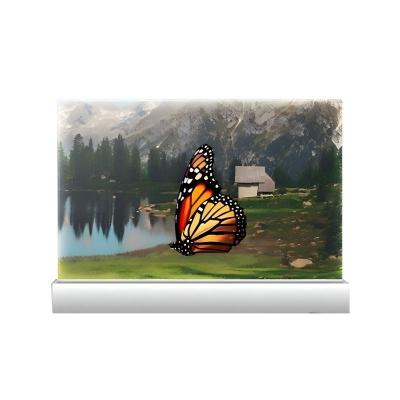 China Touch OLED Transparante Scherm Snijrand Display Wetenschap Technologie Exposities Charme Geschikt op voorraad Te koop