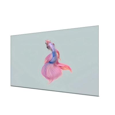 China Hoge transparantie Full Color Schrijfmethode OLED Display Panel voor Shopping Mall Reclame Te koop