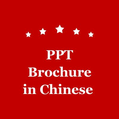 China Vinho de mercado do projeto do folheto de PPT em China à venda