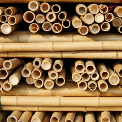China 100 % Natural Strong Durable Moso Bamboo Pole Customize Length for sale