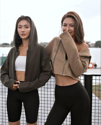China Anti-Wrinkle Customize Logo Woman Plus Size Zipper Sweatshirt Jacket Street Gym Sport Wear Crop Top Zipper Pullover Hoodies For Women for sale