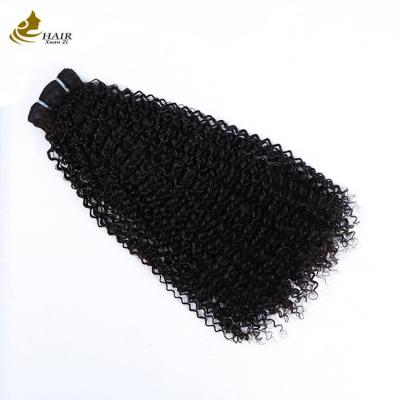 China Factory Cuticle Aligned Raw Vietnamese 100% Virgin Double Drawn Afro Curly Human Hair Bundle for sale