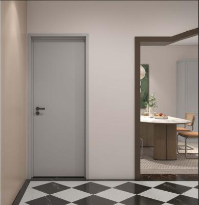 China Corrosion-Resistant Fadior Stainless Steel Dual Frame Starry Grey Interior Door Solution for sale