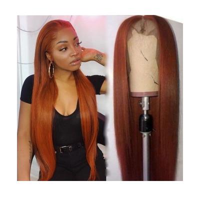 China Factory Supply High Quality Silky Straight Wave Lace Front Wig 13x6 Colorful Update Hair Wig for sale