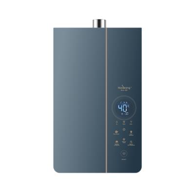 China 21kW Heat Output Power Forced Exhaust Gas Water Heater 10L Capacity for Flexible Installation for sale