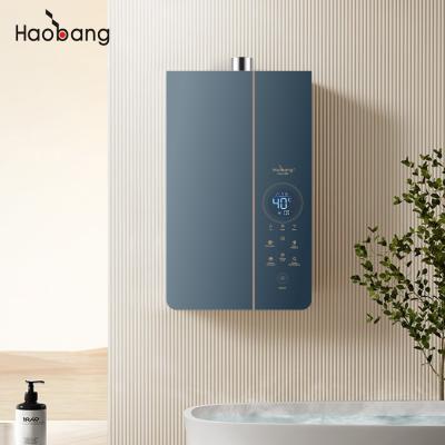 China Efficiency 93% Forced Exhaust Gas Water Heater 21kW Heat Output Power Wall Mounted for Optimal Heating and Efficiency for sale