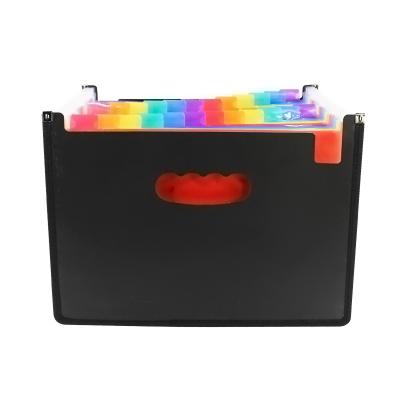 China Carry On Your Desk Tidy Promo Cartoon A4 PP Hard Plastic Office Supplies Raise Folder With Handle for sale