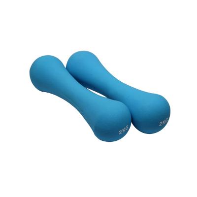 China Custom Wholesale Cheap High Quality Hex Fitness Training Power Rubber Dumbbell Dumbbell for sale