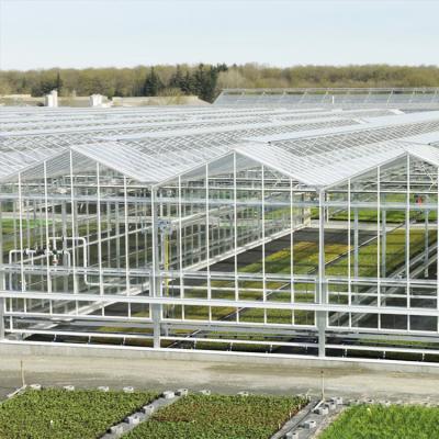 China 8mm Float Glass Venlo Glass Greenhouse Hydroponic System Double Layer for sale