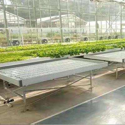 China Plant Growing Greenhouse Accessories 4'×8' 4'×10' Ebb And Flow Rolling Bench for sale