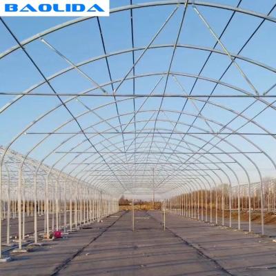 China Green House Metal Frame Fruits With Ventilated PC Board Design Tunnel Greenhouse for sale