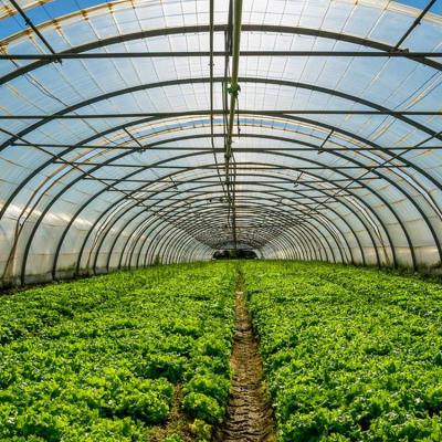 China Hot Galvanized Steel Structure Greenhouse Kits with Plastic Film and Shade Net Cover Material and 1.5m-1.8m Shoulder Height for sale