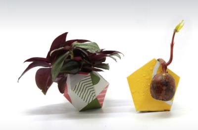 China Tear Resistant Folding Paper Packaging Calcium Carbonate 80% Wood Free for sale
