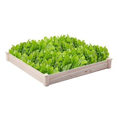 China Modern Hot Selling Outdoor Garden Planter Wooden Box For Growing Flowers for sale