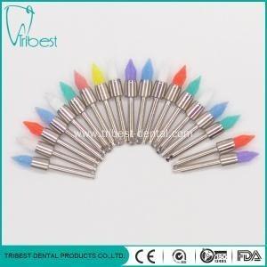 China Jogo de lustro dental de nylon colorido, escova de lustro dental lisa do lápis à venda
