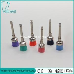 China Jogo de lustro dental macio, tipo escova dental da bacia de Prophy à venda