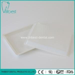 China 20.6x15.5cm zahnmedizinischer Plastik-Tray Inside Unseparated Spot Surface zu verkaufen