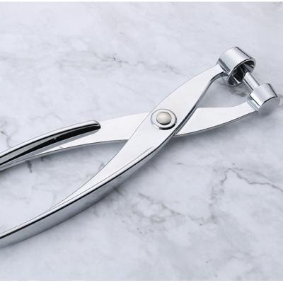 China Cherry Pitter Red Dates Olives Pit Easy Removal Core Squeeze Viable Silver Sling Seeder for sale
