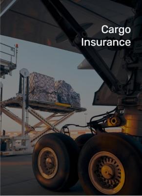 China International Cargo Insurance Service timely Security protocols for sale