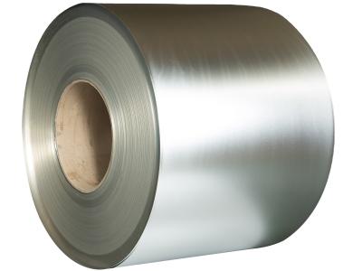 China 0.15-0.45 milímetros de superfície de Tin Plate Coil ASTM S1 S2 R1 para o empacotamento de alimento à venda