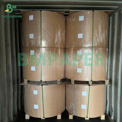 Chine 50 gm Papier filtrant café non recouvert de qualité alimentaire à vendre