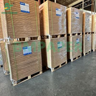 China 300gsm one side White Brown Back Disposable Bakeable Kraft Bread Pans Board 0.45mm for sale