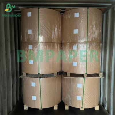 China 210gsm 230gsm 15g PE Matte Coating White Cup Paper For making Coffee Cup for sale