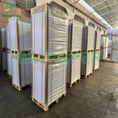 China 300+15gsm Glossy Pe Coated Food Grade White Paperboard Packing Frozen Products for sale