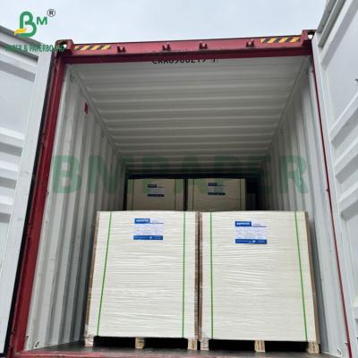 Κίνα 240g +15PE επικαλυμμένο 1 πλευράς Cupstock χαρτί για ποτήρια 31 x 43 ιντσών Αδιάβροχο 100% προς πώληση