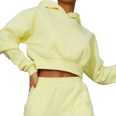 China OEM Custom Logo Crop Top Breathable Oversized Hoodie 2 Pieces Sets Popular Longsleeve Pullover Hoodies For Women for sale