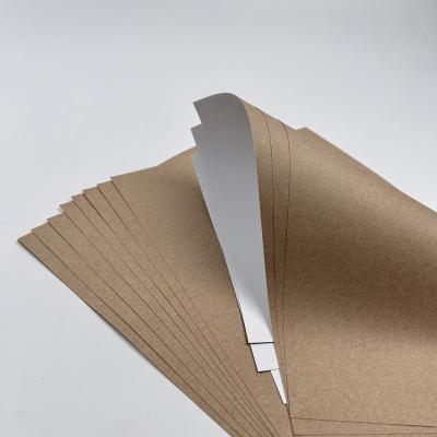 China Bedekkingsverf Wit top kraft liner papier Jumbo rol met PE coating materiaal betaalbaar Te koop