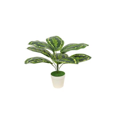 China 2021 traditional greenery small almost natural plastic bonsai trees for sale for sale