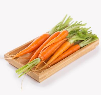 China Best Price High Vitamin Food Supplier Top Selling Fresh Carrots New Carrots Vegetables for sale