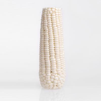 China OEM Factory Food Supplier FROZEN Hot Selling Hot Selling White Corn Corn Snack Popular Corn Snacks Product FROZEN for sale